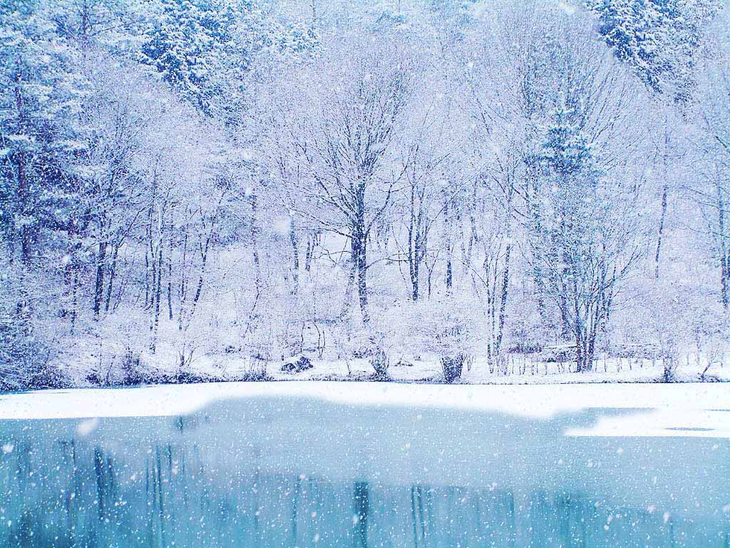 22 Amazing Winter Pictures That Will Have You Wishing For Snow